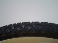 De 24x1.95 DS D825 54-507 sw 